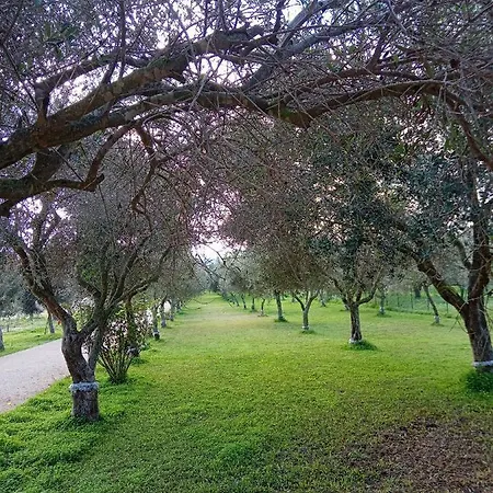 Il Poggetto * Marzamemi