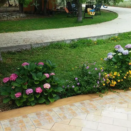 Bed and breakfast Il Poggetto *